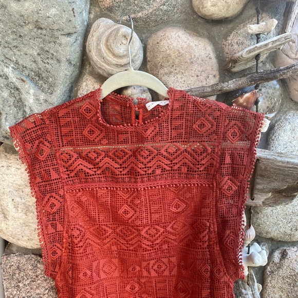 Ministry of style burnt orange lace dress - Picture 8 of 10